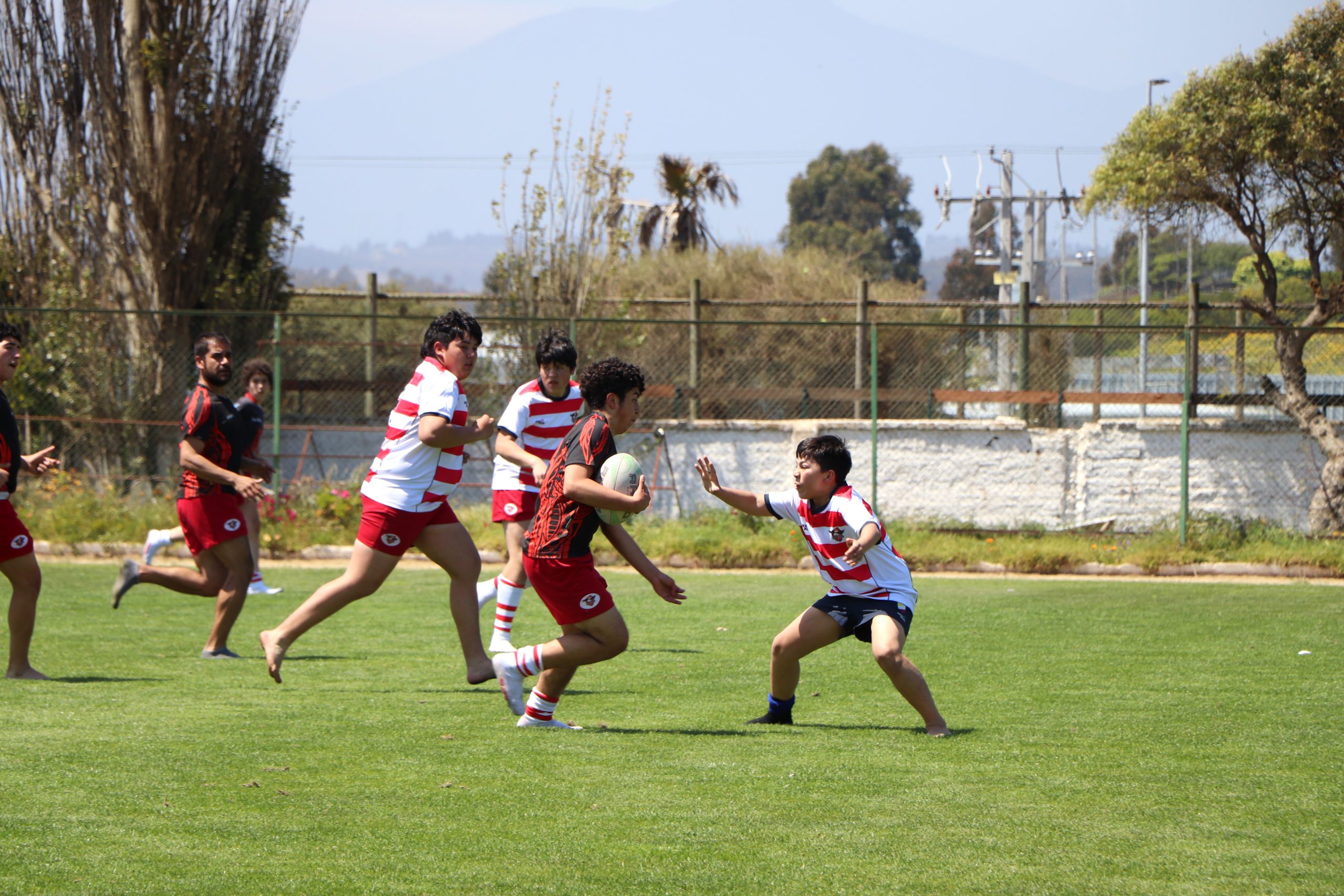 Entretenido festival de rugby infantil se realizó en Quintero
