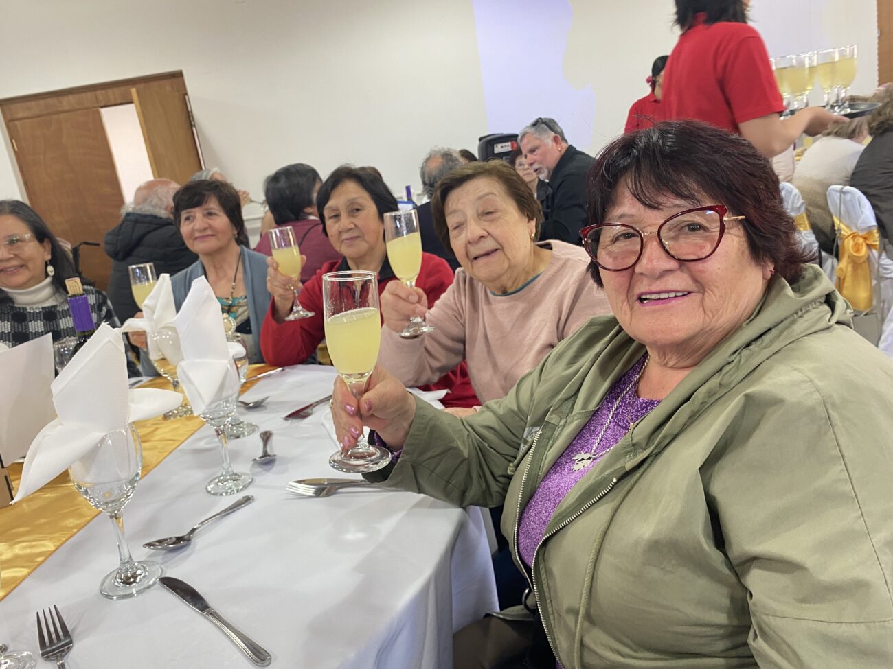 UNIÓN COMUNAL DEL ADULTO MAYOR DE PUCÓN CONMEMORÓ 20 AÑOS DE HISTORIA EN LA COMUNA LACUSTRE – Website de la Municipalidad de Pucón