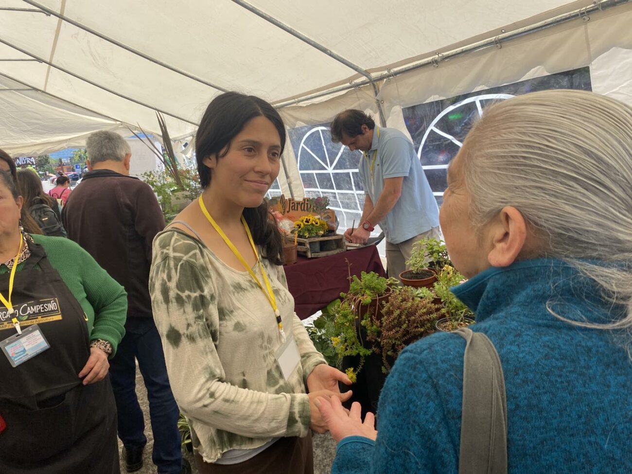 EN PUCÓN COMENZÓ LA FERIA DE LA PRIMAVERA 2023 – Website de la Municipalidad de Pucón