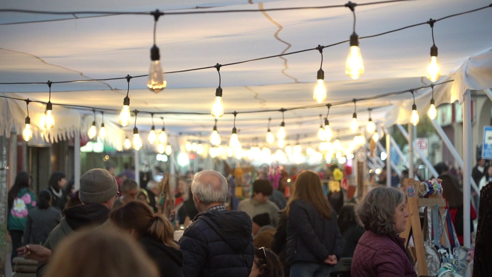 COMIENZA LA TEMPORADA FESTIVA EN VILLA ALEMANA CON LA EXPO LUCES DE NAVIDAD, UN EVENTO LLENO DE MAGIA PARA FOMENTAR LA ECONOMÍA LOCAL