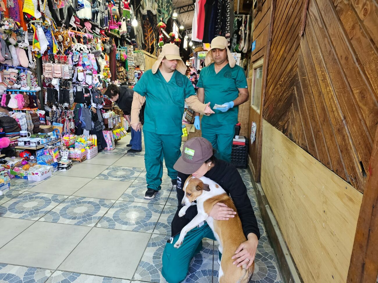 EQUIPO DE TENENCIA RESPONSABLE REALIZÓ OPERATIVO PARA PERROS COMUNITARIOS DE PUCÓN – Website de la Municipalidad de Pucón