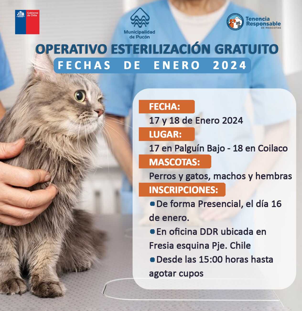 MUNICIPIO DE PUCÓN REALIZARÁ OPERATIVOS DE ESTERILIZACIÓN GRATUITOS PARA MASCOTAS – Website de la Municipalidad de Pucón