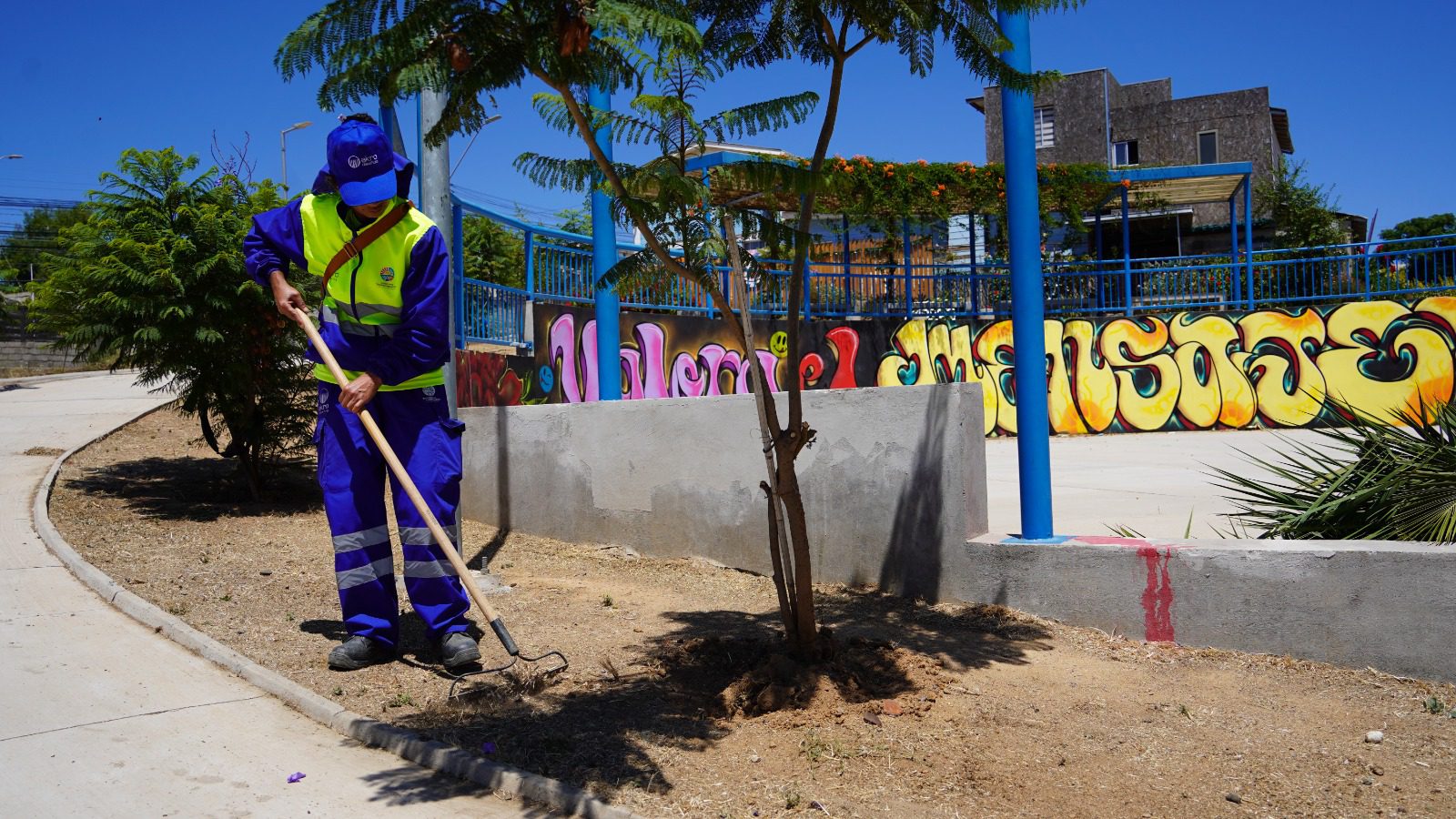 MUNICIPIO DE VILLA ALEMANA DOBLARÁ LA FRECUENCIA DE BARRIDO DE CALLES DURANTE EL 2024 Y SUMARÁ 27 SECTORES PARA MANTENCIÓN DE ÁREAS VERDES